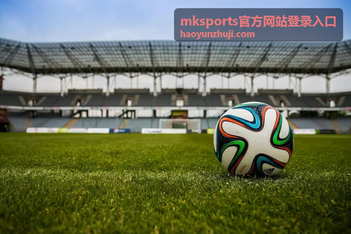 mksports官方网站登录入口文章封面图