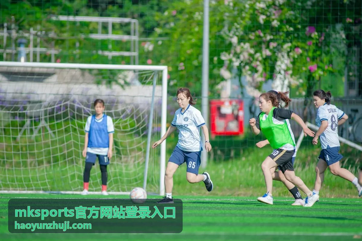 mksports官方网站登录入口相关推荐：mksports 官方登录入口使用指南
