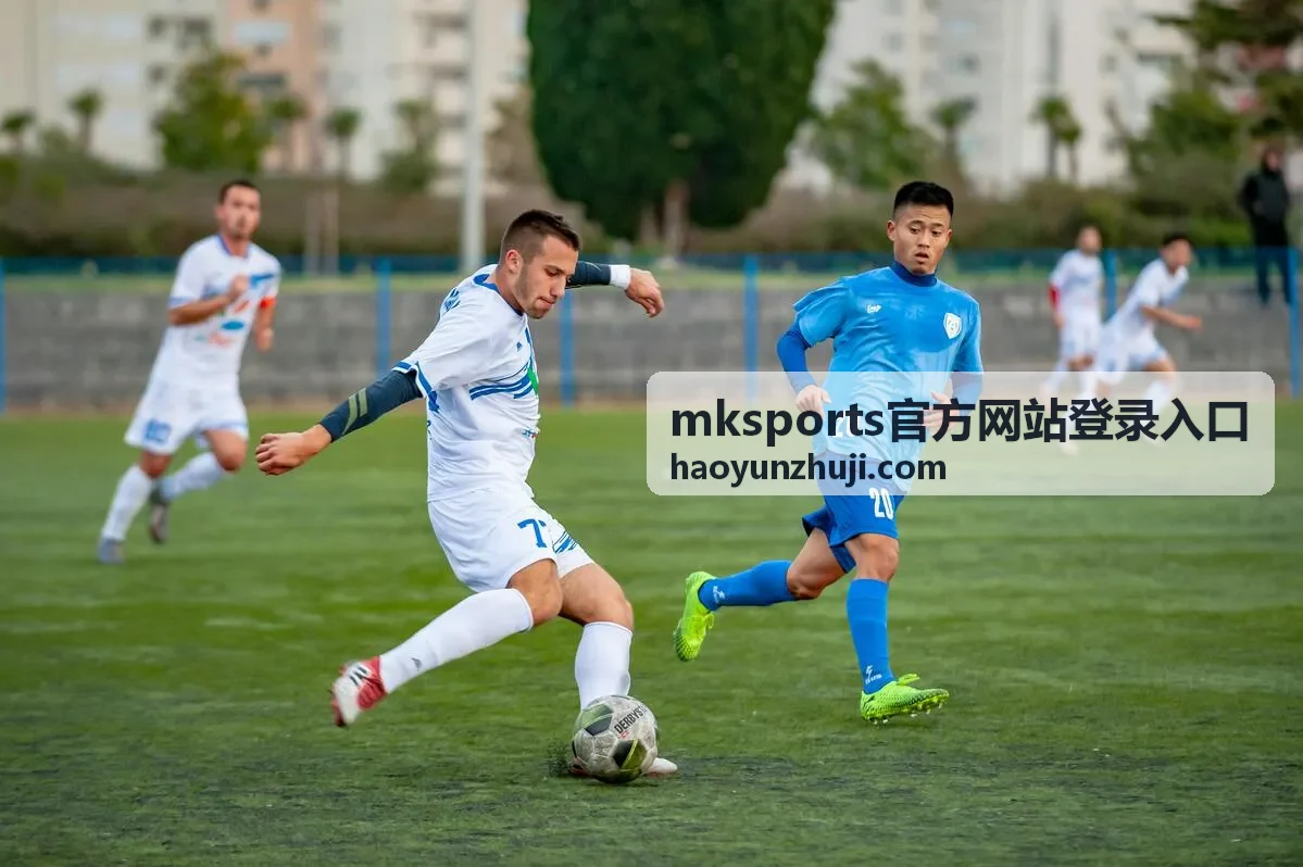 mksports官方网站登录入口安全中心设置界面