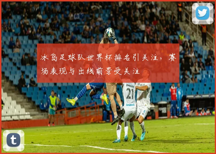 冰岛足球队世界杯排名引关注，赛场表现与出线前景受关注