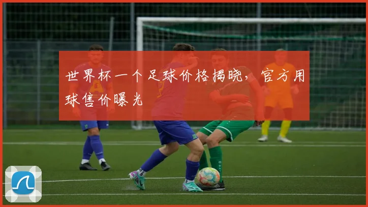 世界杯一个足球价格揭晓,官方用球售价曝光