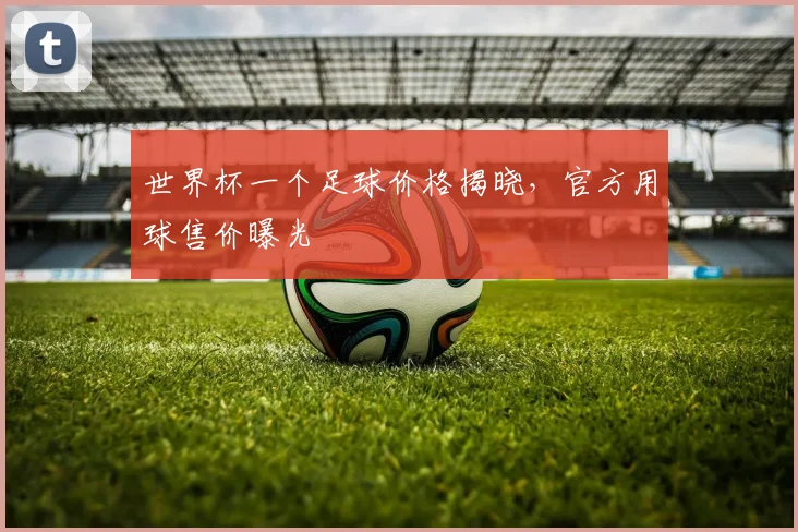 世界杯一个足球价格揭晓,官方用球售价曝光