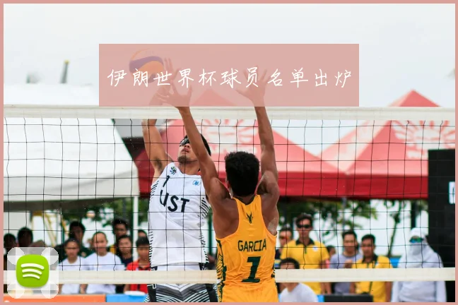 伊朗世界杯球员名单出炉